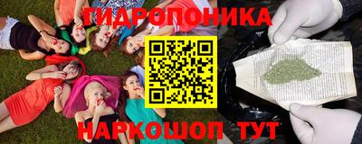 стаф Братск
