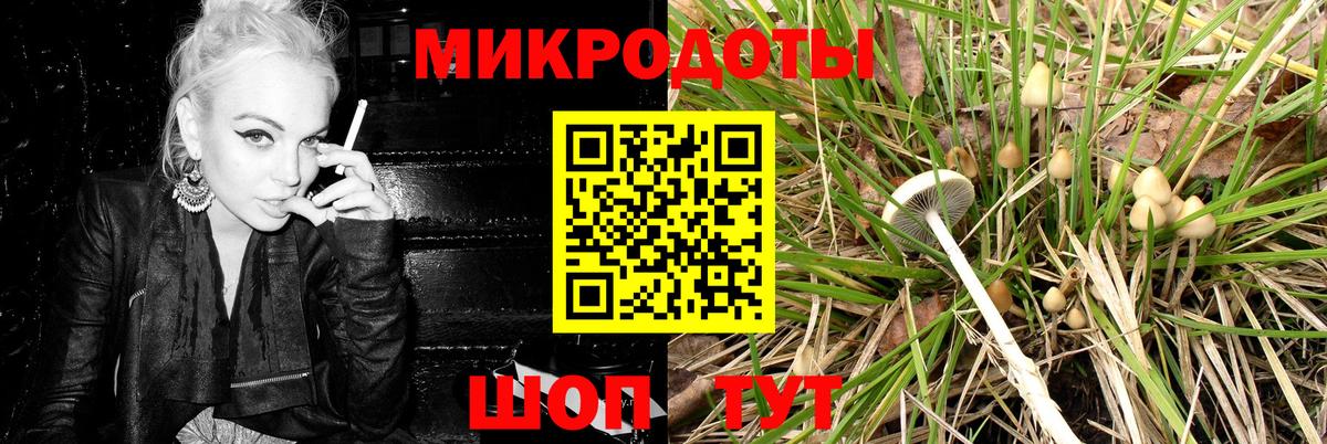 Псилоцибиновые грибы Magic Shrooms  Вход с VPN  Нарткала 