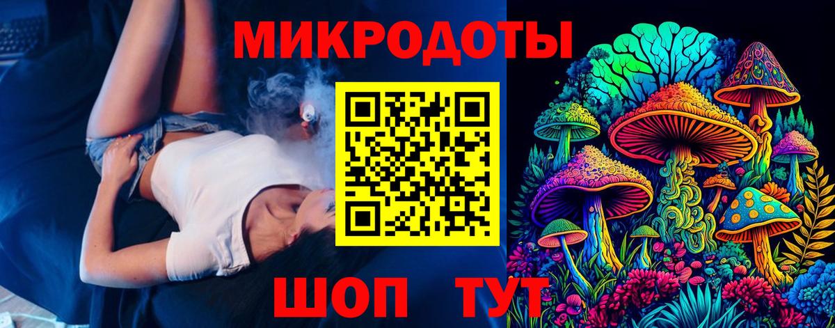 Псилоцибиновые грибы Psilocybe Нарткала